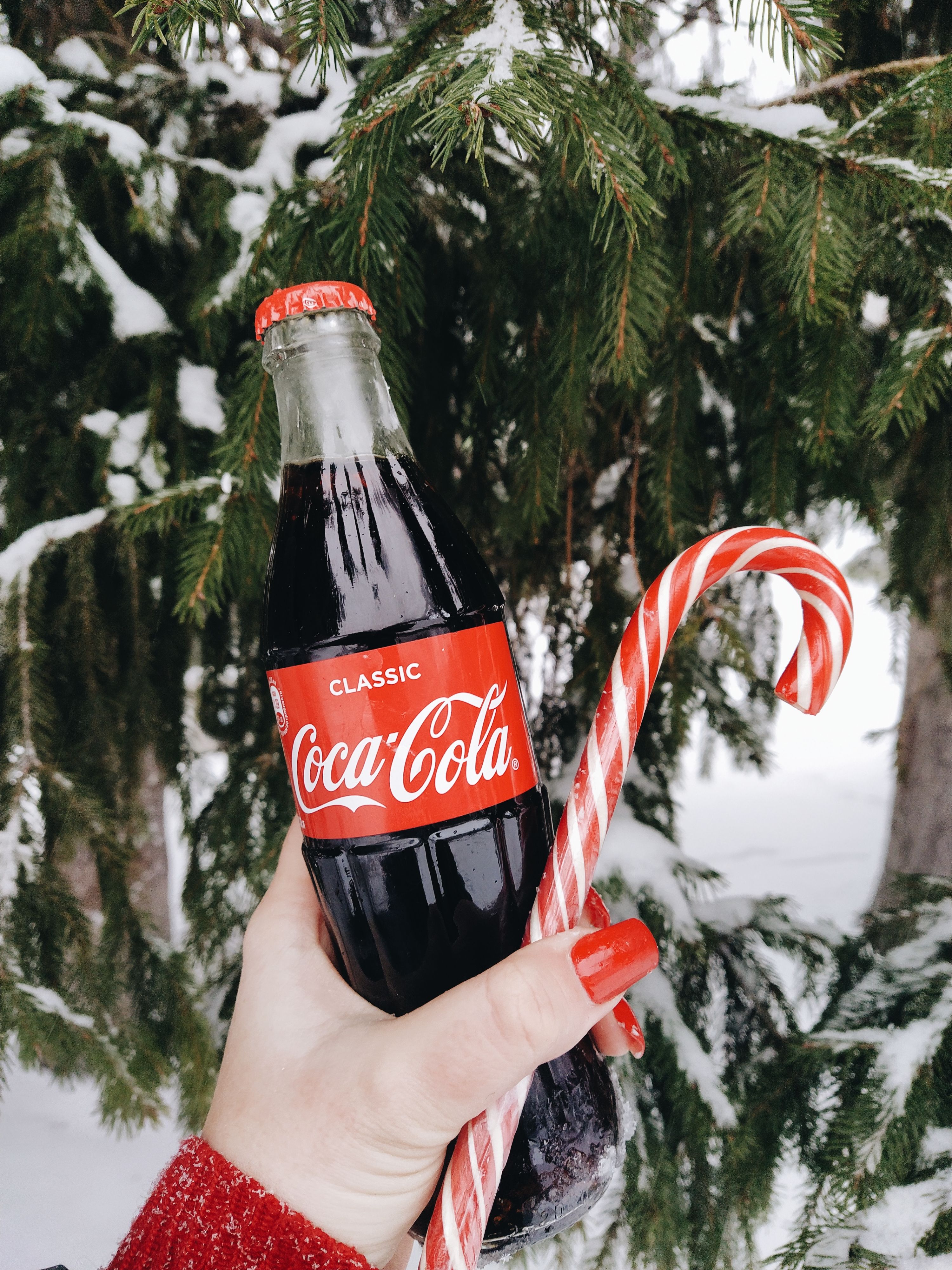 Woman's hand holds a classic soda bottle and candy cane against a snowy forest backdrop.