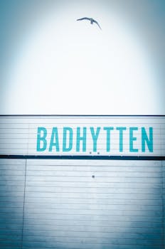 晴朗的日子里，一只海鸥翱翔在“巴德海滕”标志上空，尽显沿海魅力