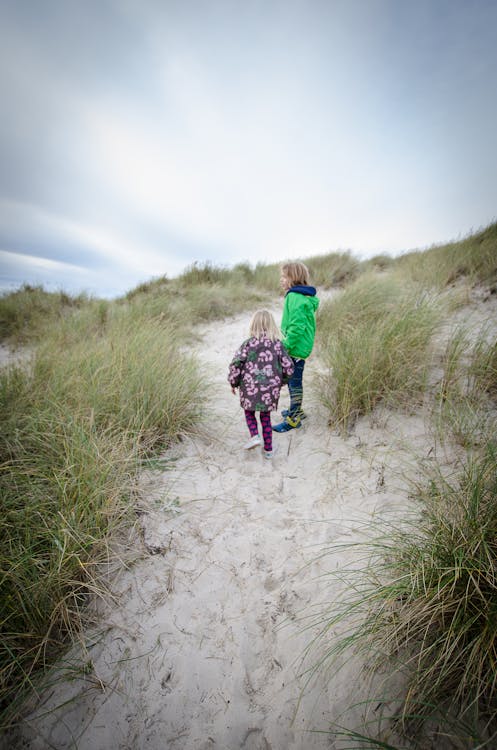 Free stock photo of beach, dune, kids