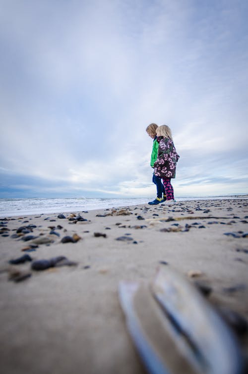 Free stock photo of beach, sea, siblings