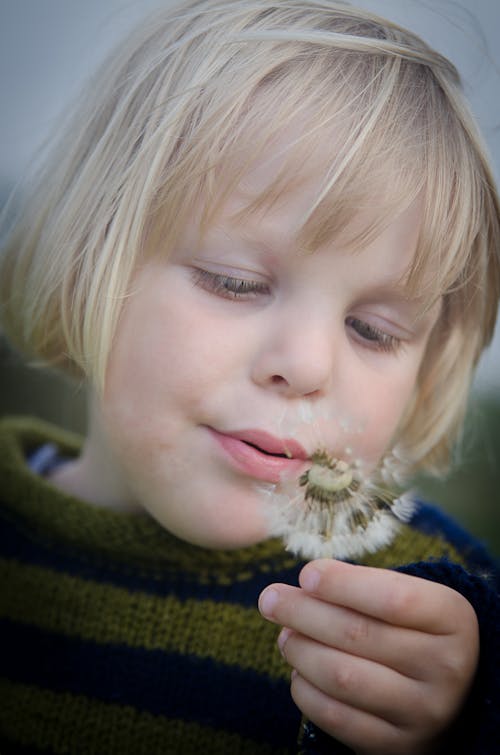 Free Selective Focus Photography of Girl in Green and Black Striped Sweater Holding and Blowing Dandelion Stock Photo