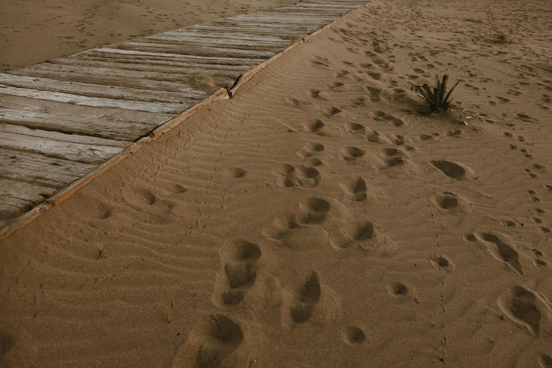 A wooden boardwalk and footprints on a sandy beach create a rustic natural scene.