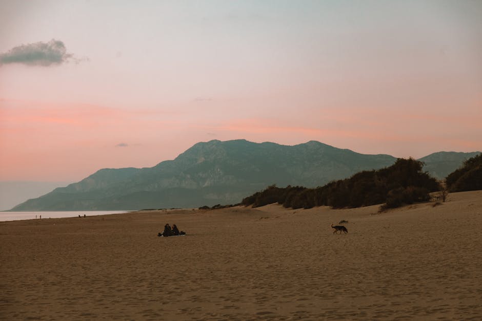 A serene beach landscape at sunset with mountains and a calm atmosphere.