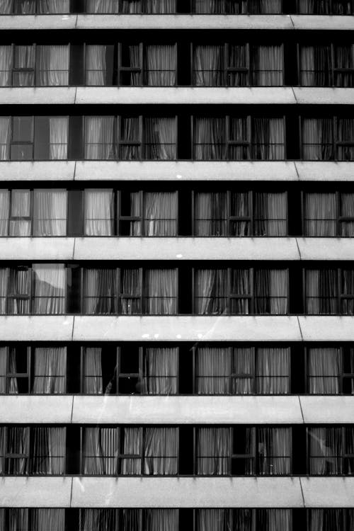 Základová fotografie zdarma na téma budova, černobílý, fasáda