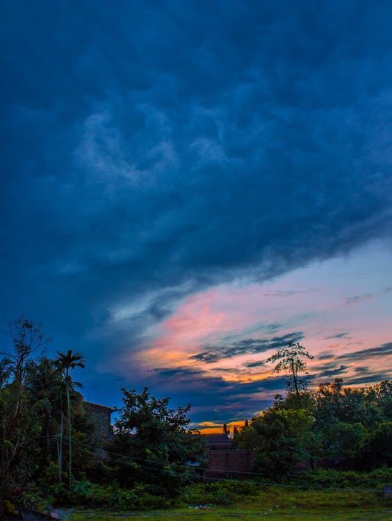 Pohon Daun Hijau Di Bawah Awan Kumulus Saat Golden Hour