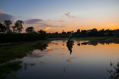 Free stock photo of fisherman, indian, landscape