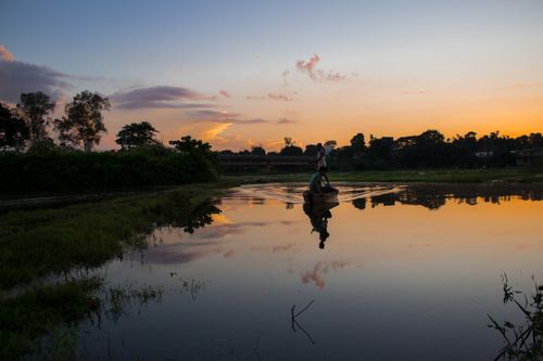 Free stock photo of fisherman, indian, landscape Stock Photo
