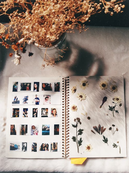 Dried flowers and photos in album