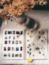 Dried flowers and photos in album