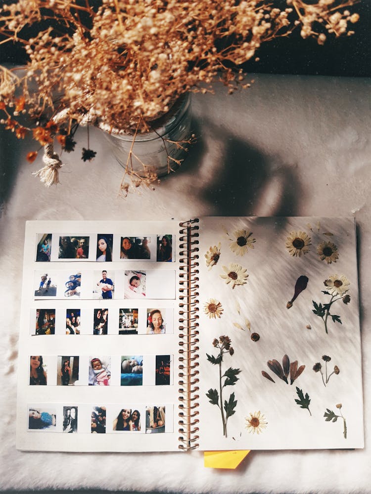 Dried Flowers And Photos In Album