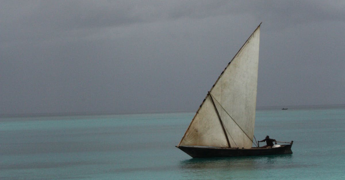 Free stock photo of boat, fishing, sailing