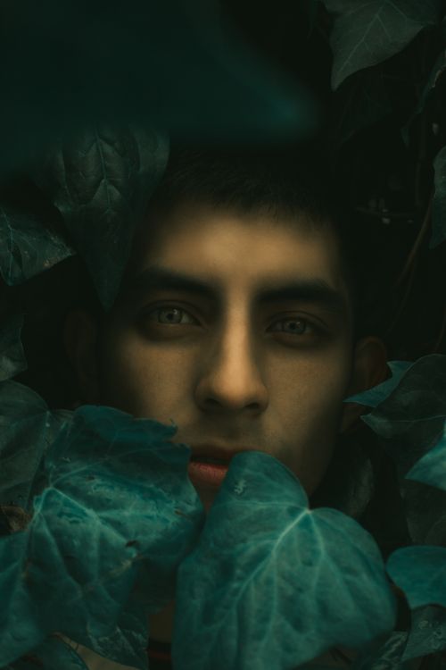 Free An enigmatic portrait of a man peeking through lush green leaves, creating a mysterious ambiance. Stock Photo