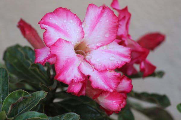 Cycling gear and equipment