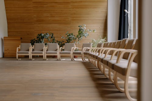 Белые деревянные стулья возле зеленого горшечного растения