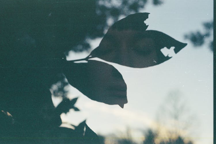 Double Exposure Of Woman And Leaves