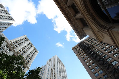 Vista De Baixo ângulo De Edifícios Altos