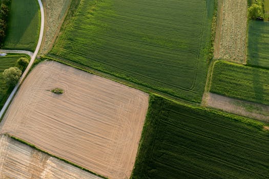 Photo by Marta Bernal Aerial view of lush green and brown fields showcasing diverse agricultural landscapes.