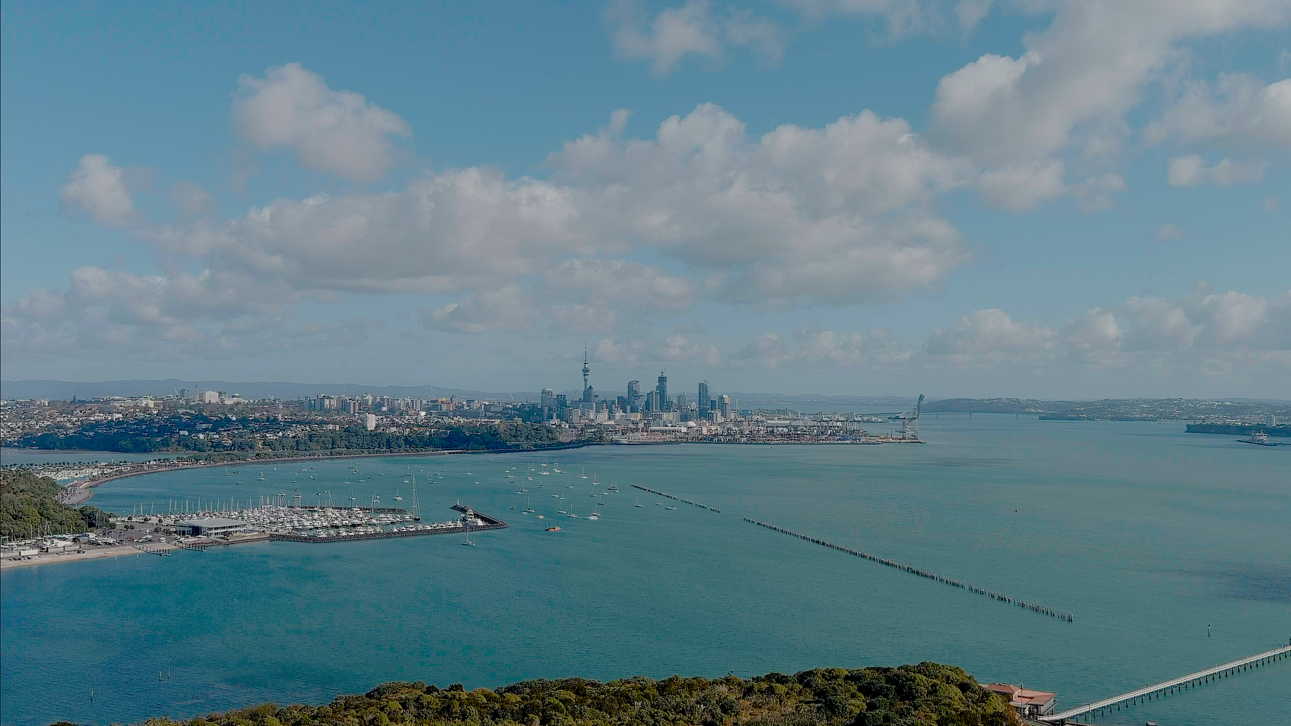waiheke island auckland new zealand vineyard wine ferry landscape