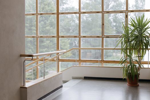 Spacious interior staircase with large grid windows, modern railing, and potted plant.