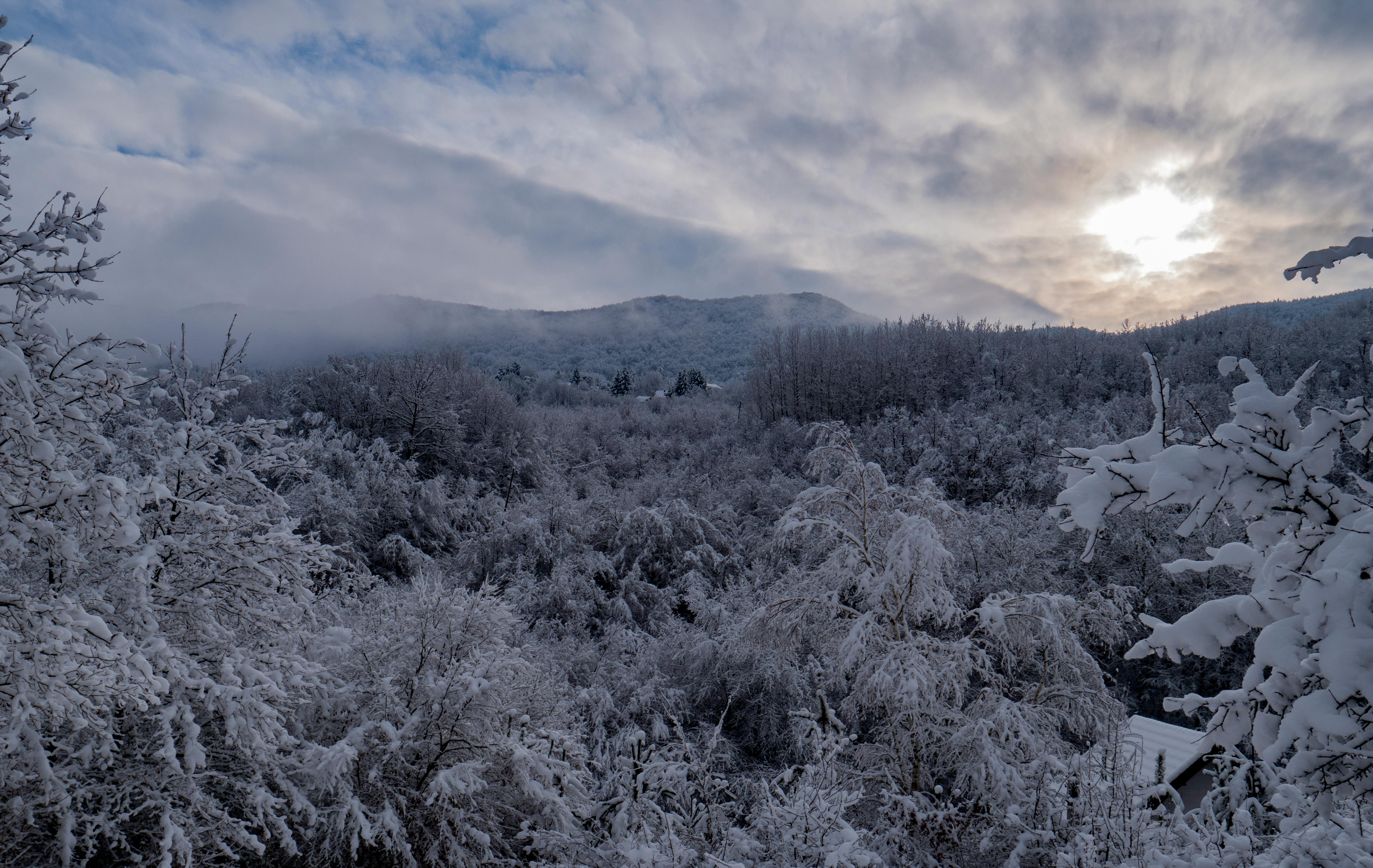 Prescription Goggle Inserts - Tranquil winter landscape of snow-covered trees at sunrise in Kraljeva Sutjeska, Bosnia.