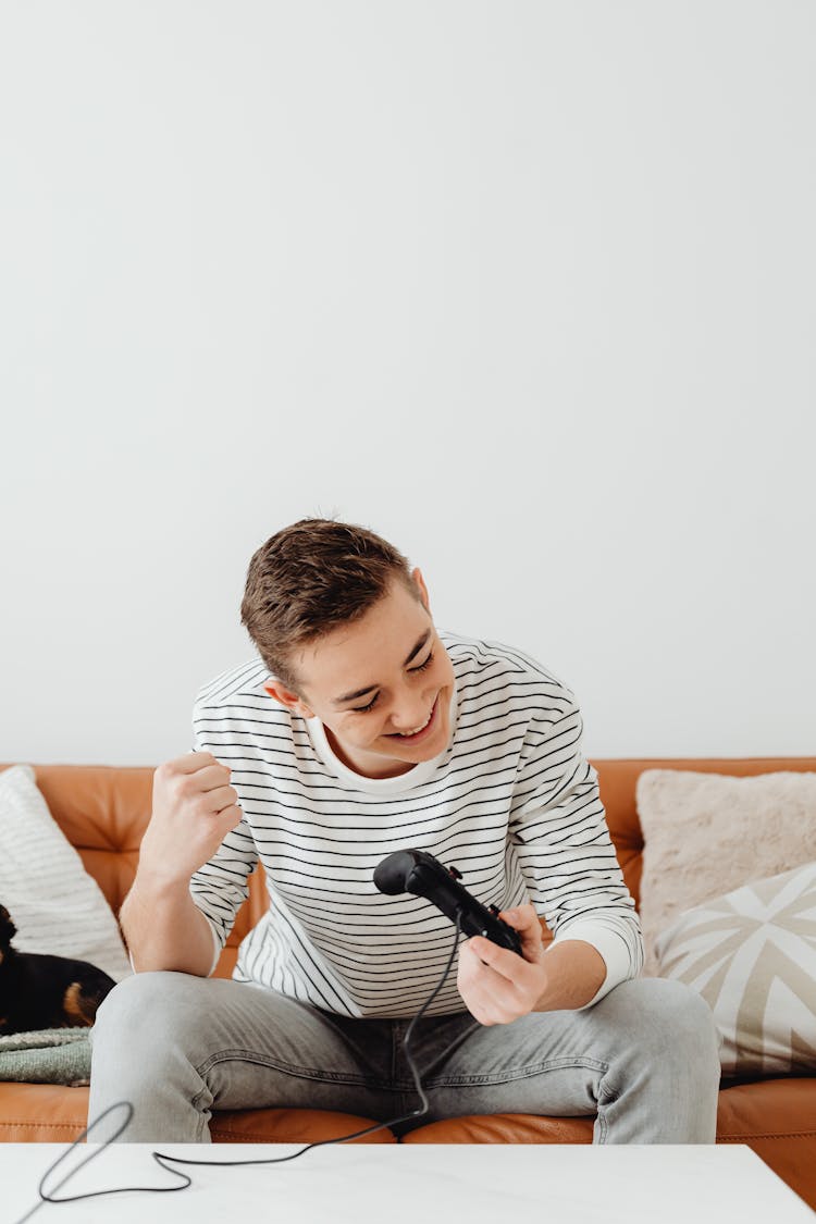 A Man Sitting On Sofa Winning A Computer Game