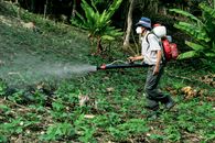 A farmer sprays pesticides in a lush forest area near Manacapuru, Brazil.