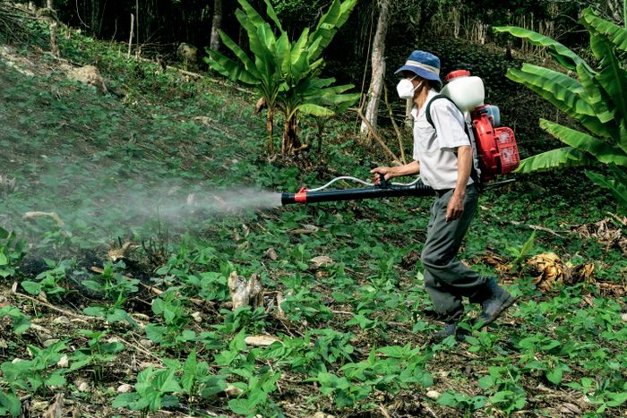 Aplicación de tratamiento de desinfección