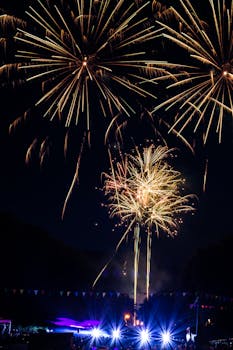 节日庆祝活动中，夜空中绽放的烟花令人惊叹