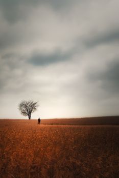A solitary person stands in a vast field under a cloudy sky, conveying solitude and tranquility.