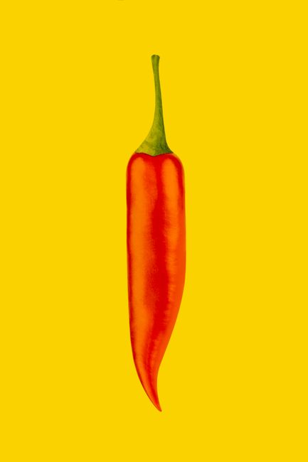 Painted long spicy ripe aromatic red chili pepper with green pedicel and savory taste placed on bright clear yellow surface