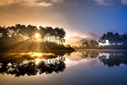 Free Silhouette of Trees near the Lake during Sunset Stock Photo