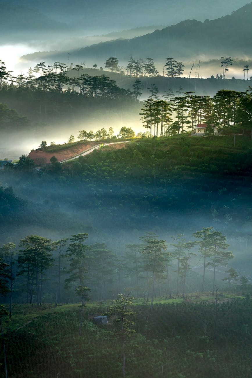 DALAT VIETNAM, LA VILLE DE L’ÉTERNEL PRINTEMPS DALAT VIETNAM, LA VILLE DE L’ÉTERNEL PRINTEMPS