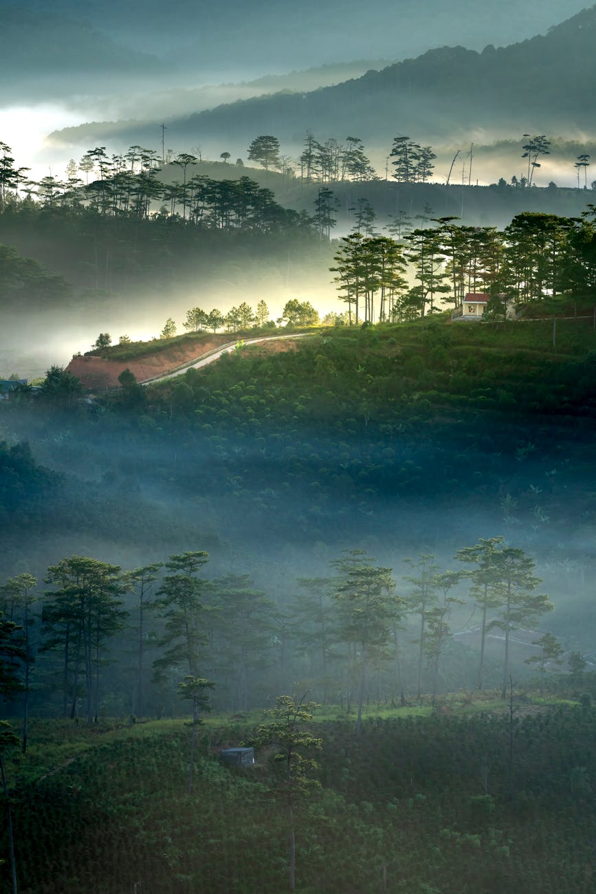 DALAT VIETNAM, LA VILLE DE L’ÉTERNEL PRINTEMPS