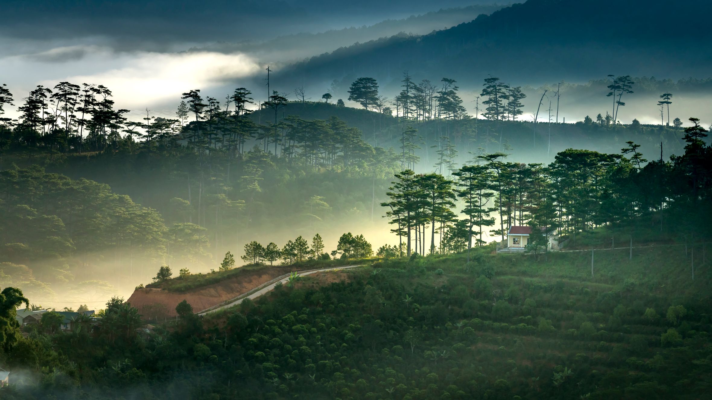 A stunning aerial view of the misty mountains and forests in Dalat, Vietnam, showcasing lush green scenery.