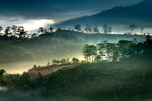 Free A stunning aerial view of the misty mountains and forests in Dalat, Vietnam, showcasing lush green scenery. Stock Photo