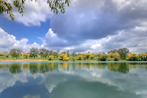 Calm Lake near Trees under the Cloudy Sky