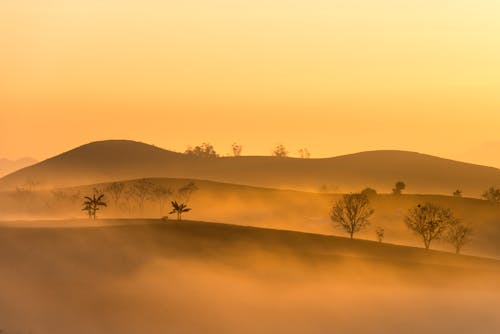 Silhouette of Trees and Mountains during Sunrise