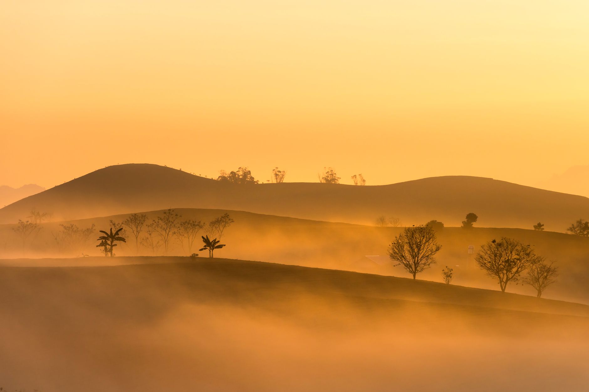 Golden mist envelops rolling hills and trees during sunrise in Son La, Vietnam.