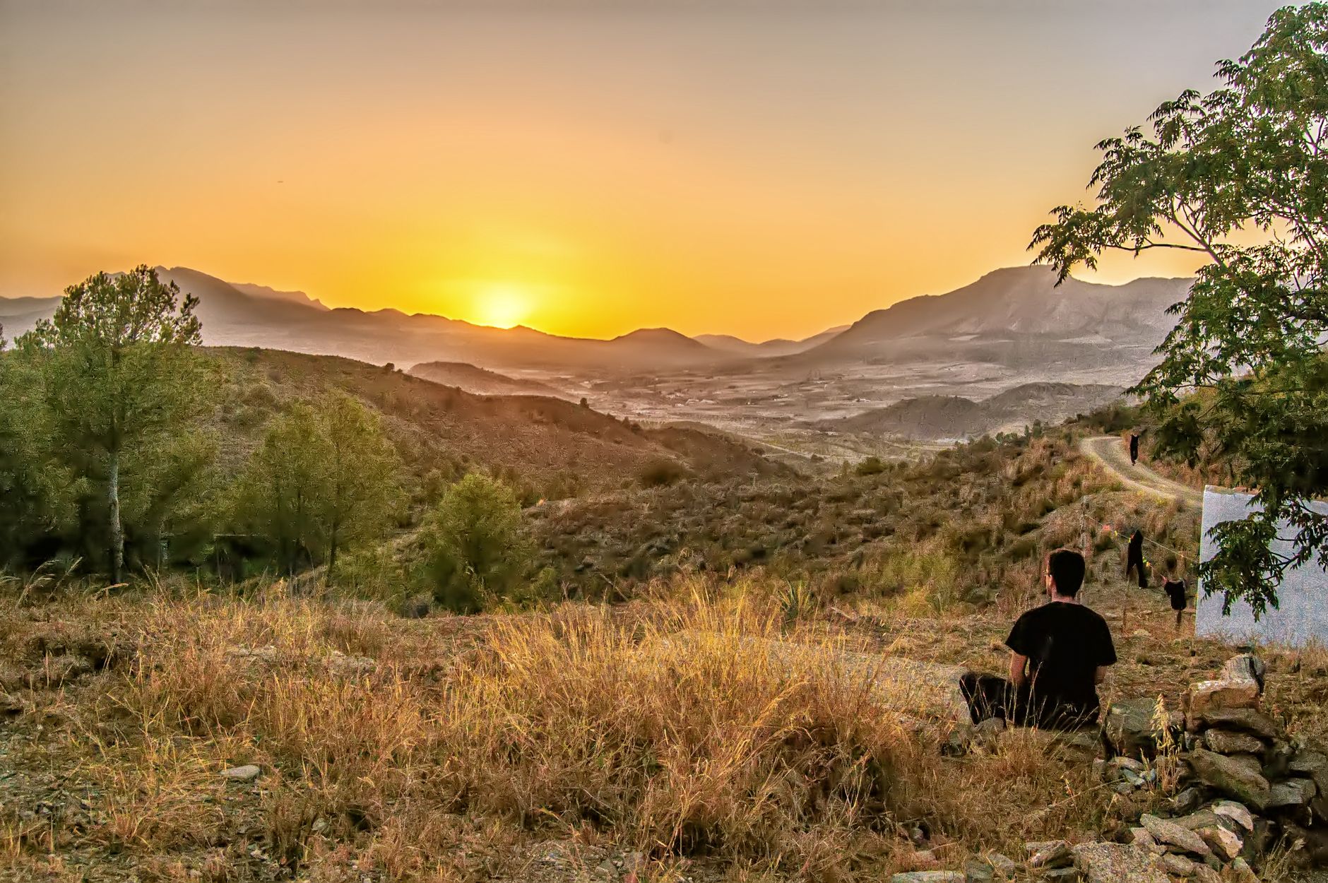 agotamiento emocional tecnicas rapidas - consejos prácticos para la calma agotamiento emocional tecnicas rapidas - consejos prácticos para la calma