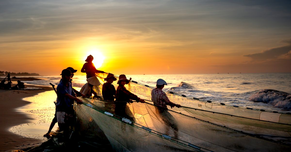 Fishermen pulling in a net on the Volta River near Ho at sunset