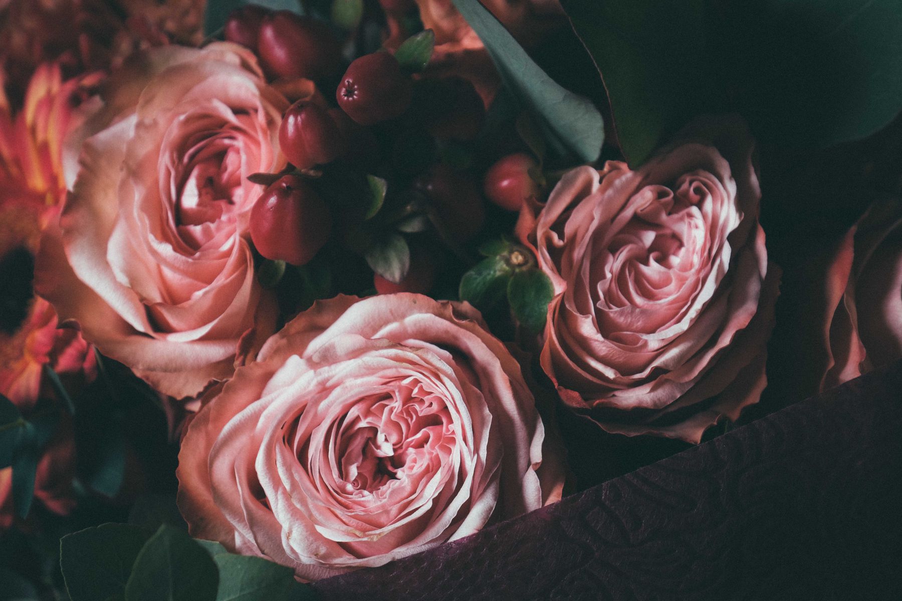 Blush & Bramble