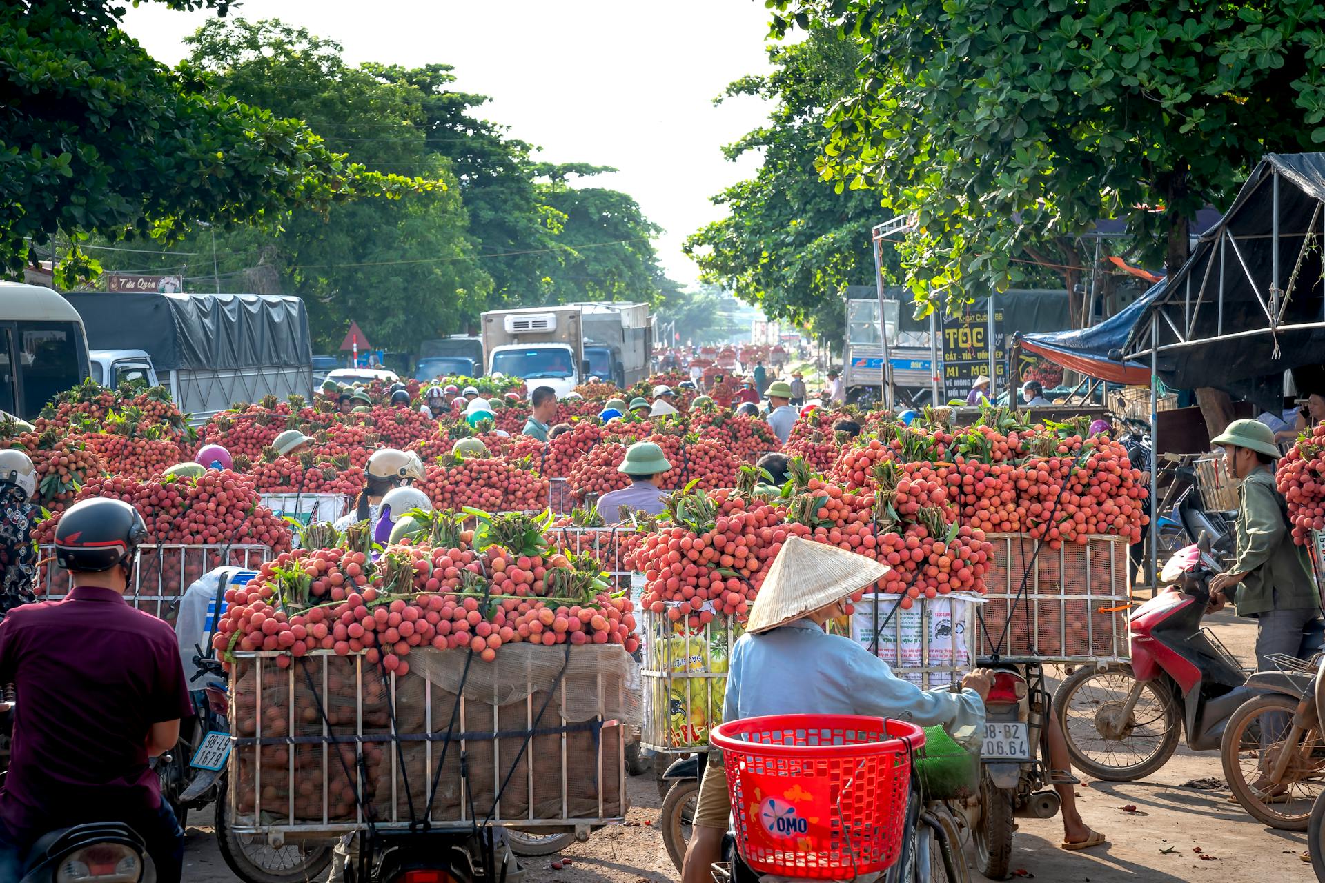 Free stock photo of agricultural market, agriculture, asia