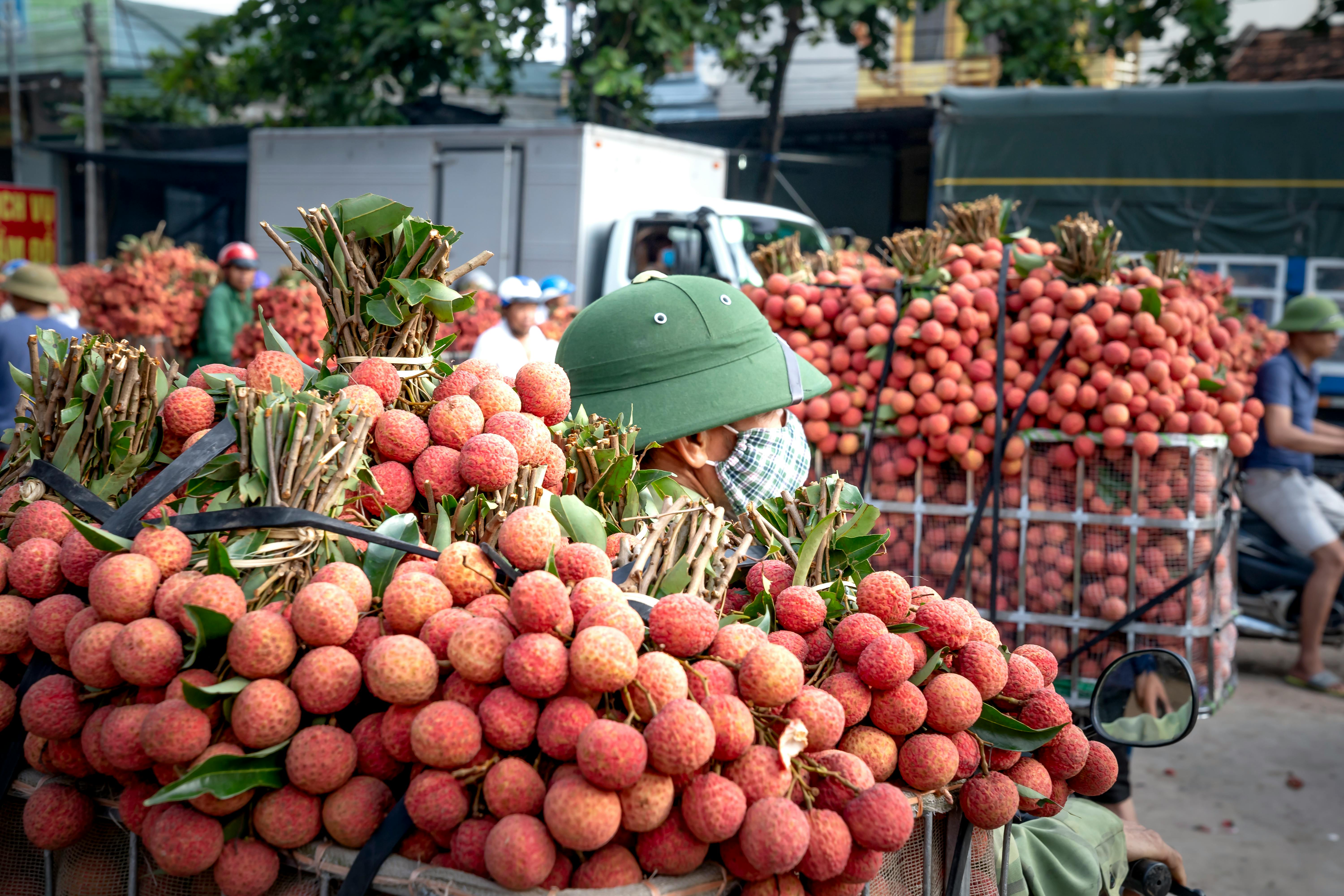 A bustling scene of fresh lychee fruits being transported and sold at an outdoor market.