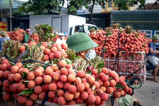 A bustling scene of fresh lychee fruits being transported and sold at an outdoor market.