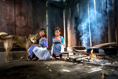 Foto stok gratis agrikultura, ala Vietnam, alam