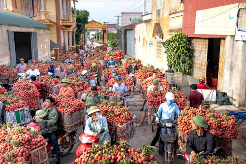 Fruit Vendors Riding Motorcycle on the Street