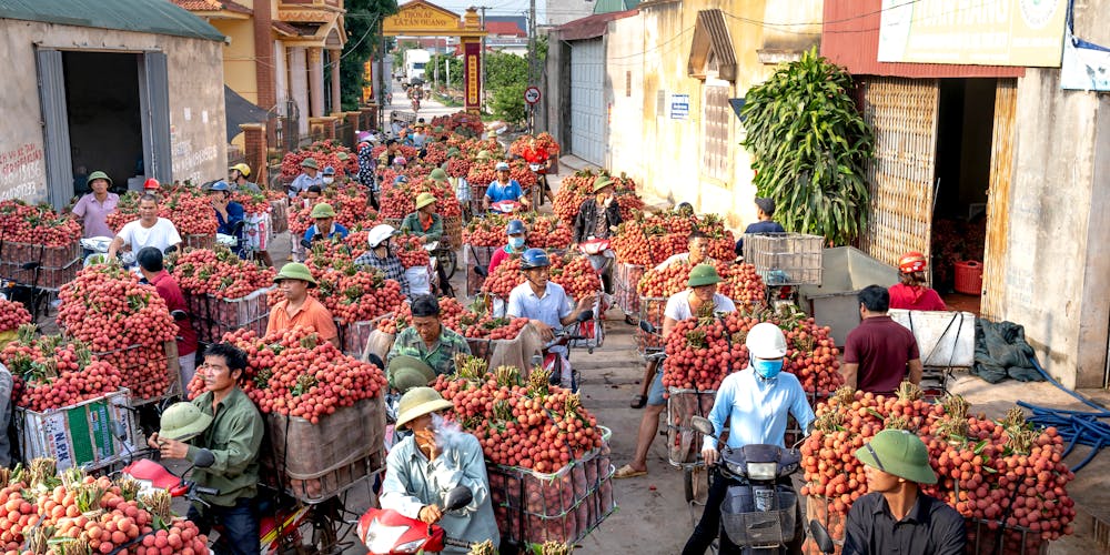 Kết Quả Xổ Số An Giang Điểm Nhấn Thú Vị Cho Người Chơi