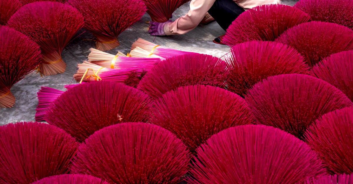 孔廟商圈16歲生日慶典 成功吸引國際目光