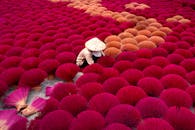 一名越南工人在广富草制作香枝户外，周围充满活力的色彩