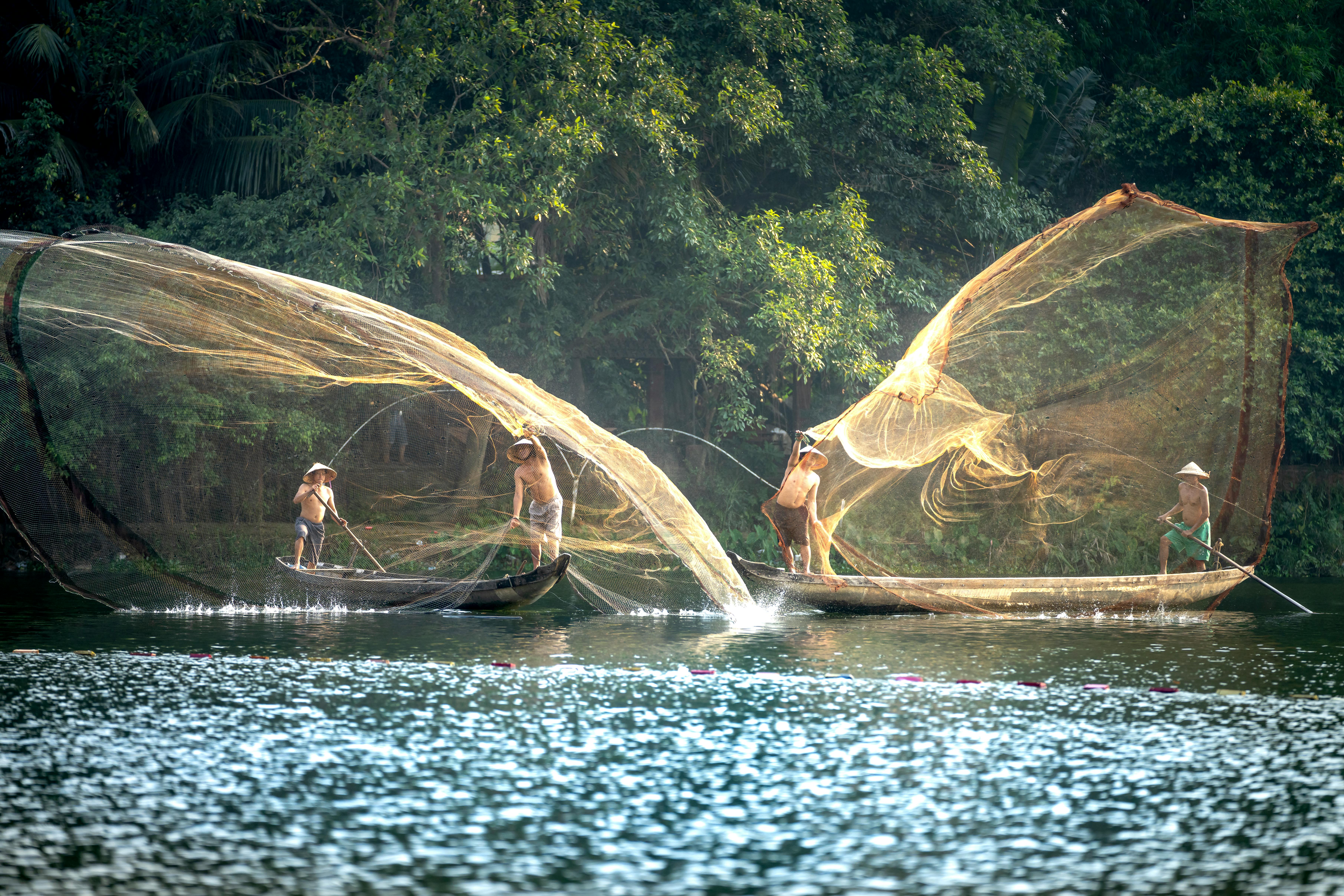 Fishermen Casting Their Net Free Stock Photo   Pexels Photo 6346790 